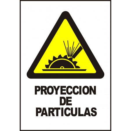Cartel Proyección de Partículas